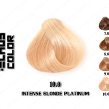 رنگ مو اچ اس لاین طبیعی پلاتینی 10.0